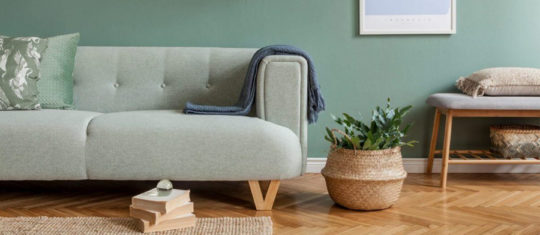 scandinave